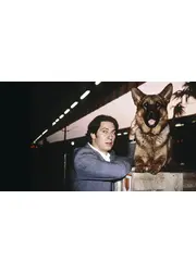 REX ～ウィーン警察シェパード犬刑事～