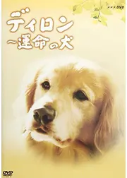 ディロン 運命の犬
