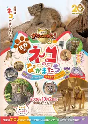 劇場版ダーウィンが来た！世界のネコのなかまたち