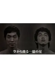 空から降る一億の星