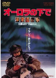オーロラの下で