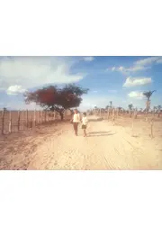 セントラル・ステーション