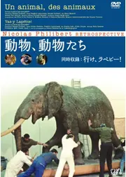 行け、ラペビー！