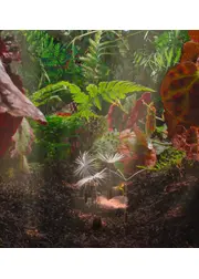 ダンデライオンズ・オデッセイ