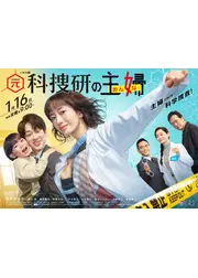 元科捜研の主婦