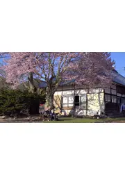 福島桜紀行