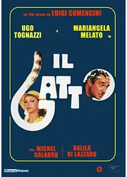 IL GATTO　猫
