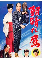 朝晴れ鷹