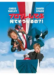 プロブレムでぶ／何でそうなるの?！