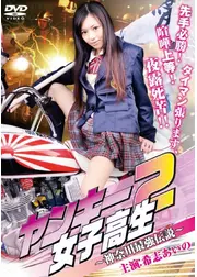 ヤンキー女子高生2　神奈川最強伝説