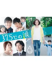 37.5℃の涙