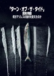 「ターン・オブ・ザ・タイド」真実の物語: 何がアゾレスの漁村を変えたのか