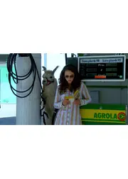 ゴダール・ソシアリスム 2K 版