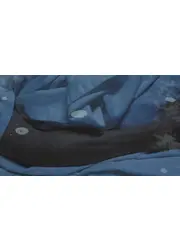ここではないどこか