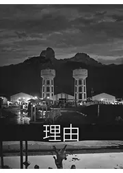 理由