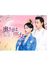 奥さまは悪女~城主が愛した花嫁の秘密~