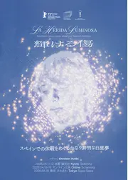 輝ける傷（スペインでの休暇をめぐるかなり鮮明な白昼夢）