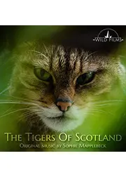 The Tigers of Scotland（原題）