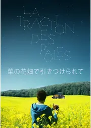菜の花畑で引きつけられて