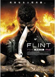 FLINT ～フリント 無敵の男～