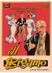 The Bigamist（英題）