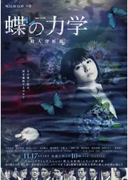 蝶の力学 殺人分析班