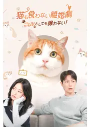 猫も食わない離婚劇～ニャンとしても譲れない！～