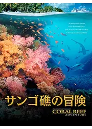 サンゴ礁の冒険