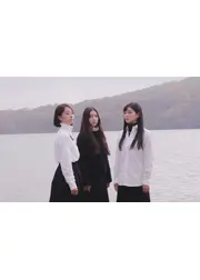 白の花実