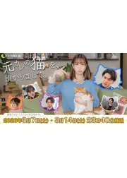 元カレの猫を、預かりまして。