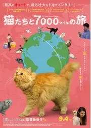 猫たちと7000マイルの旅