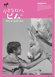 ⼩さなロバ、ビム 4K