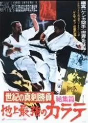 世紀の真剣勝負 地上最強のカラテ 結集編