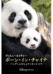ディズニーネイチャー／ボーン・イン・チャイナ パンダ・ユキヒョウ・キンシコウ