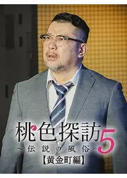 桃色探訪～伝説の風俗～【黄金町編】