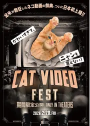 CatVideoFest