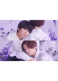 美しい彼 special edit versionの動画配信サービス・視聴方法
