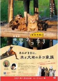 ベイビーズ いのちのちから DVD Amazon.co.jp: ベイビーズ -いのちのちから- [DVD] : トマス