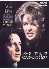 【絶版/希少】ひとりぼっちの青春 ジェーンフォンダ 国内盤　※値引きしません 絶版/希少】ひとりぼっちの青春 ジェーンフォンダ 国内盤
