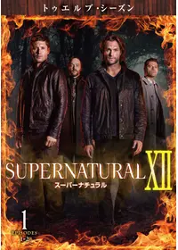 SUPERNATURAL Ⅺ<イレブン・シーズン> - ドラマ情報・レビュー・評価