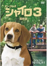 ビーグル犬 シャイロ2の動画配信サービス・視聴方法・サブスクまとめ