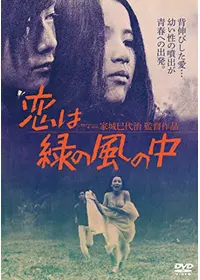 セル版　水の旅人　侍KIDS　大林宣彦　山崎努　原田知世　中山美穂　久石譲　廃盤 フジテレビムービー：Blu-ray・DVD：水の旅人 侍KIDS - フジテレビ