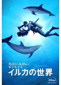 ワンダー・アンダー・ウォーター 原色の海 - 映画情報・レビュー・評価