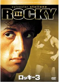 パラダイス・アレイの動画配信サービス・視聴方法・サブスクまとめ