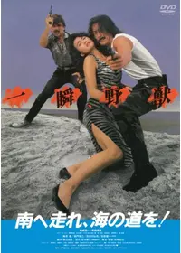 走らなあかん 夜明けまでの動画配信サービス・視聴方法