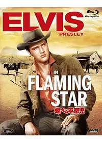 ドン・シーゲルが出演・監督する映画作品 | Filmarks映画