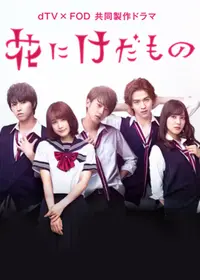 花にけだものDVD Amazon.co.jp: 花にけだもの DVD-BOX : 中村ゆりか, 杉山美和子