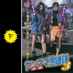 ヤンママ愚連隊 1〜3巻 セット DVD ヤンママ愚連隊 1〜3巻 セット DVD Amazon.com: ヤンママ愚連隊1