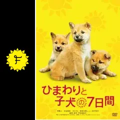 ひまわりと子犬の7日間