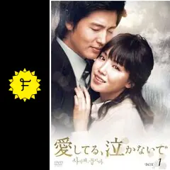 DVD 愛してる、泣かないで 全33巻 レンタル版 II05802 : ごめん、愛してる 全8巻セット [レンタル落ち] [DVD